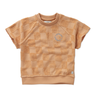 SPROET & SPROUT Sweatshirt terry blocks nectarine