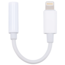 Lightning to Headphone jack adapter
