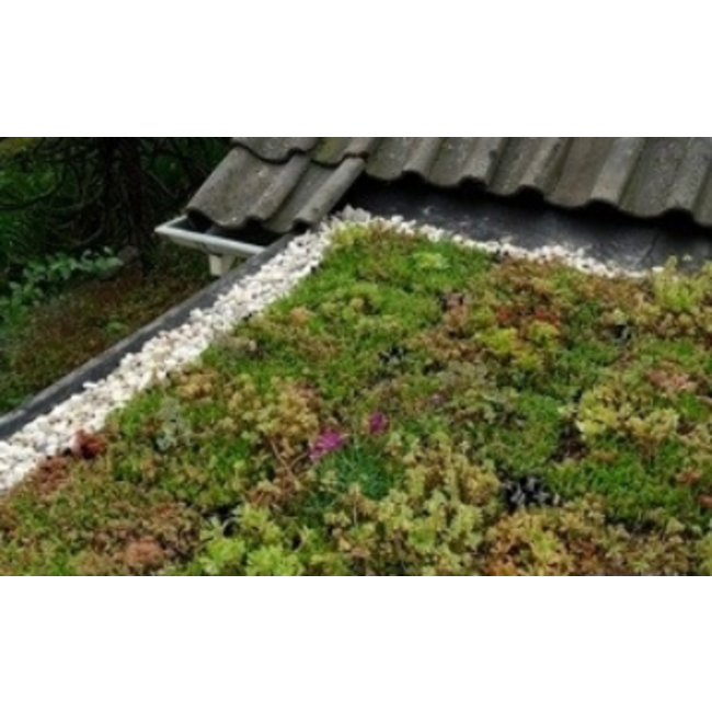 Ekogras Basaltsplit 16-32 mm zakjes 20 ltr