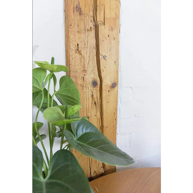 Kreidezeit Basisolie | Grondlaag voor standolieverf