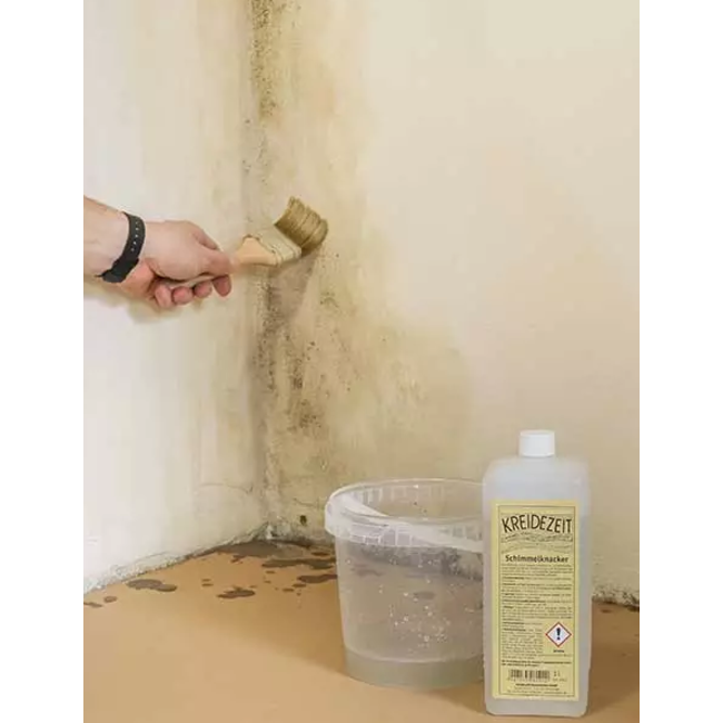 Kreidezeit Kreidezeit Schimmelknacker