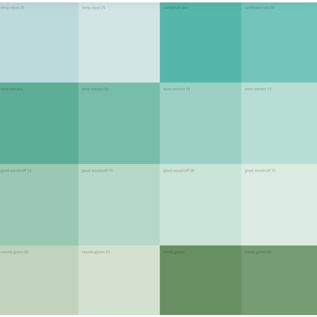 Auro 535 CFL Leemverf | 1L | groen tinten