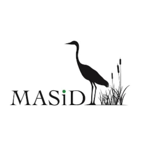 Masid