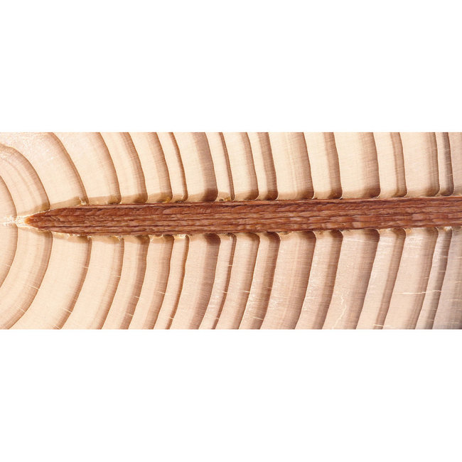 LignoLoc Lignoloc F44 Houten Nagels Mixpakket | 3060 nagels | 100% PEFC