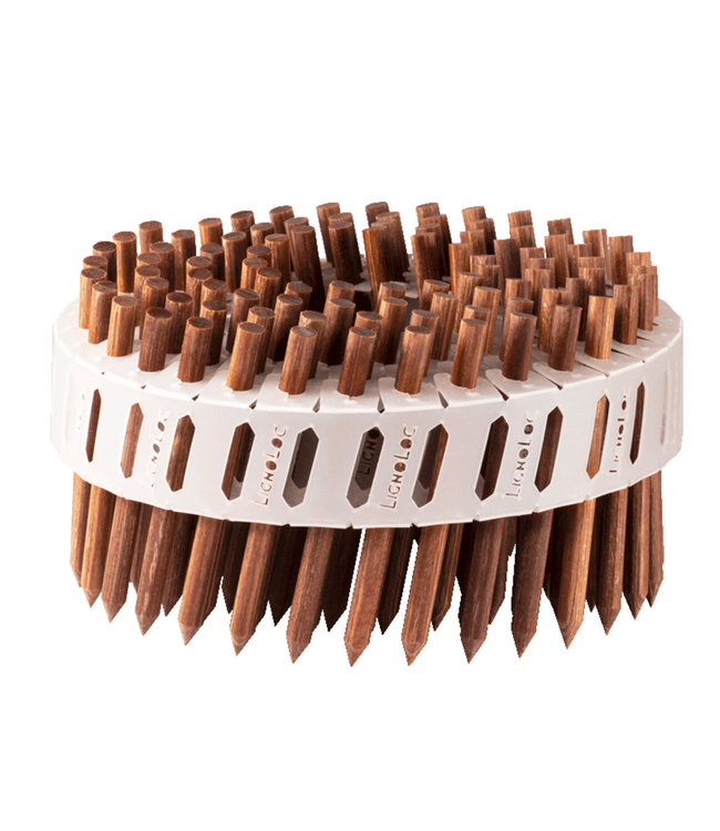 LignoLoc F60 Houten Nagels Mixpakket | 2352 Nagels