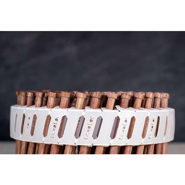 LignoLoc F60 Houten Nagels met Kop PEPC |1000 Nagels