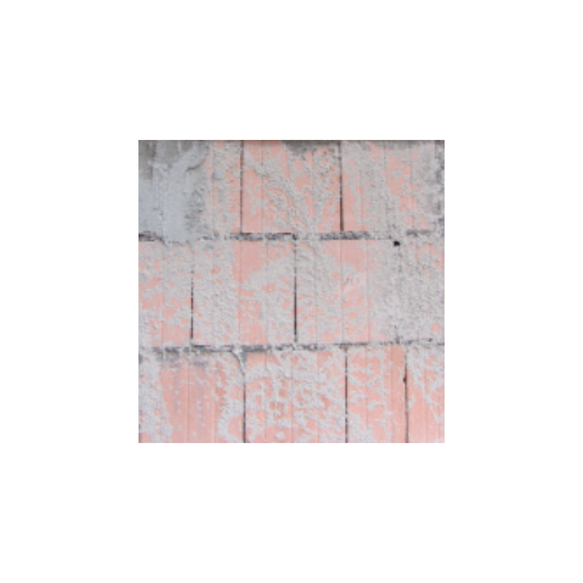 Tassullo Opus Rin | Hechtmortel