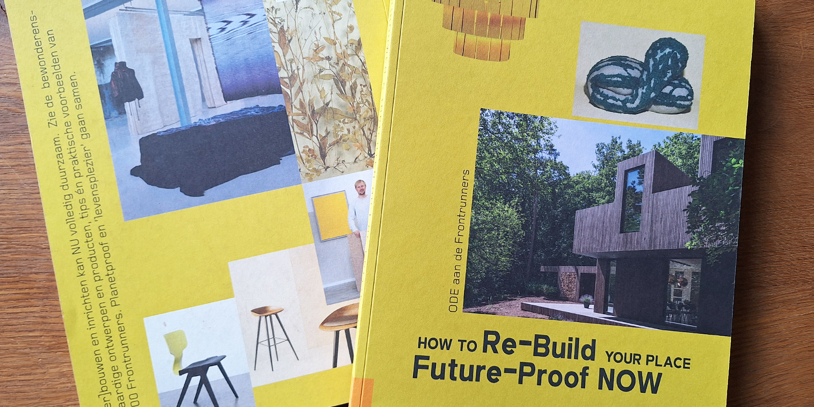 Boek | 'How to [Re-]Build your Place Future-Proof Now'