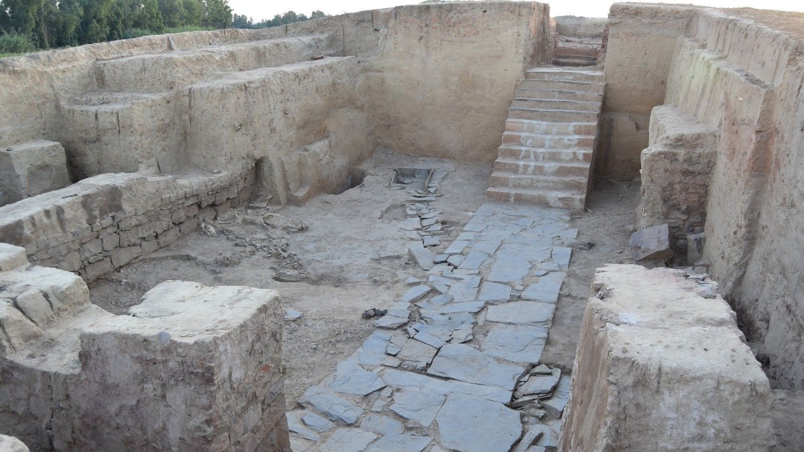 Oude Biobased Bouwtechnieken Ontdekt op Archeologische Site