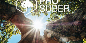 Nieuw: Extra Biobased Subsidie Pro Suber Kurkgranulaat