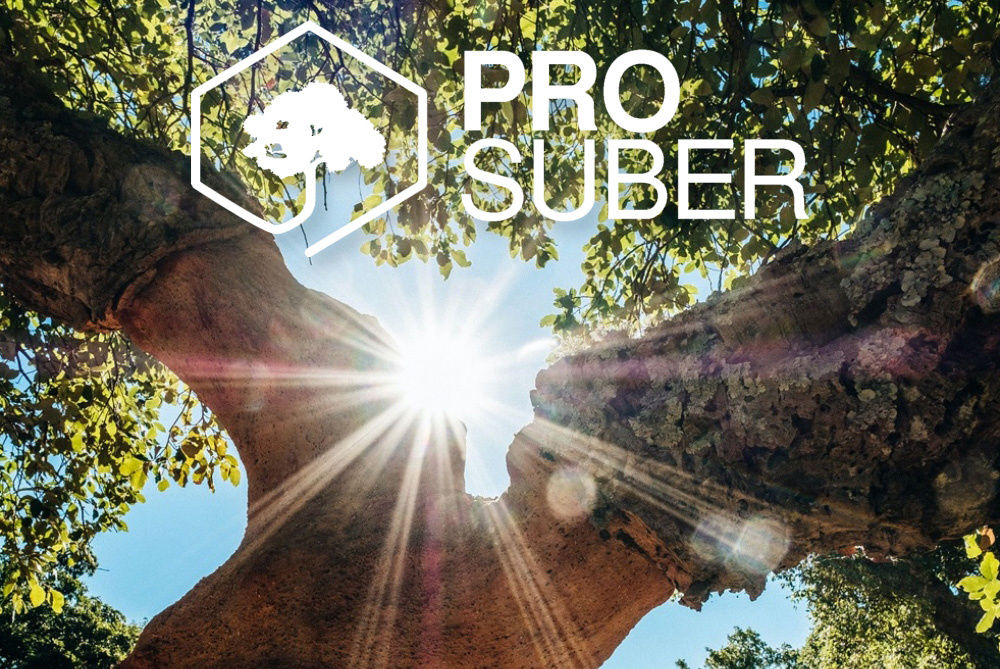 Nieuw: Extra Biobased Subsidie Pro Suber Kurkgranulaat