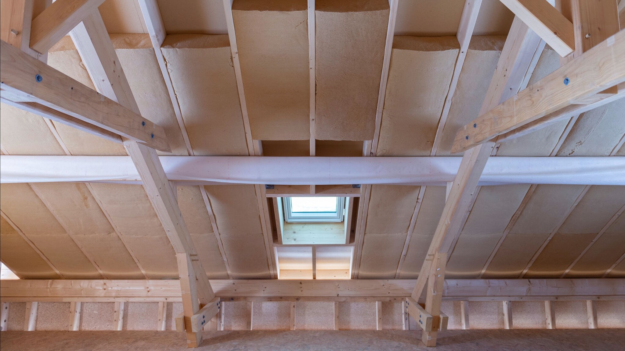 Biobased bouwen in opmars, maar gaat de transitie snel genoeg?