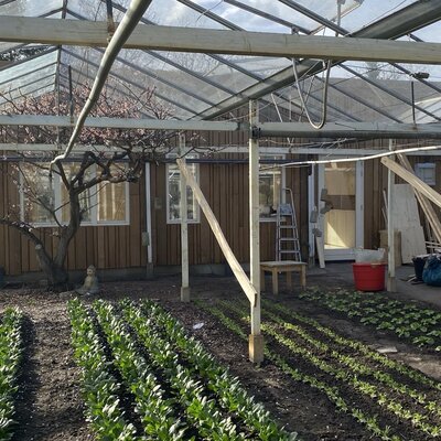 Stilteruimte Tuin de Es