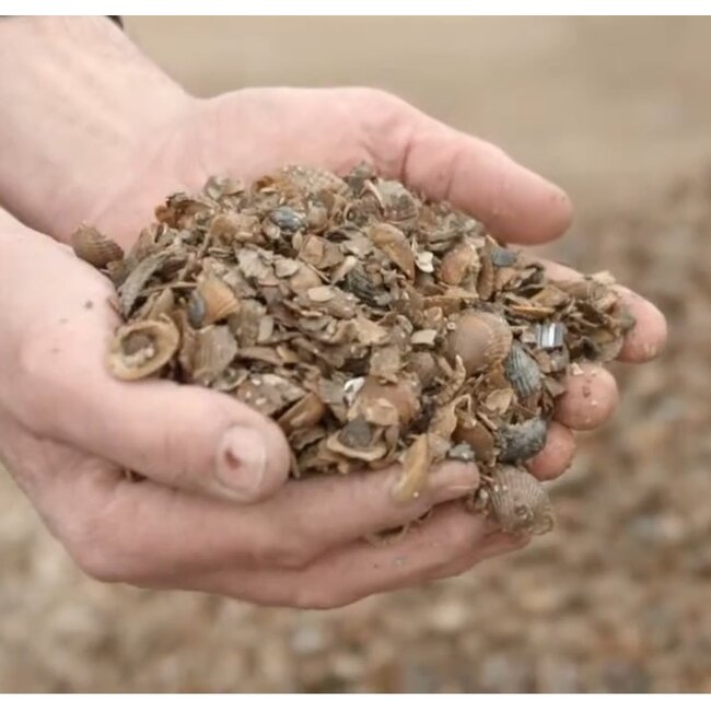 Isoschelp Schelpenisolatie