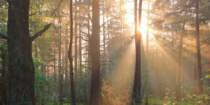 Natureplus: een keurmerk voor gezond en duurzaam bouwen