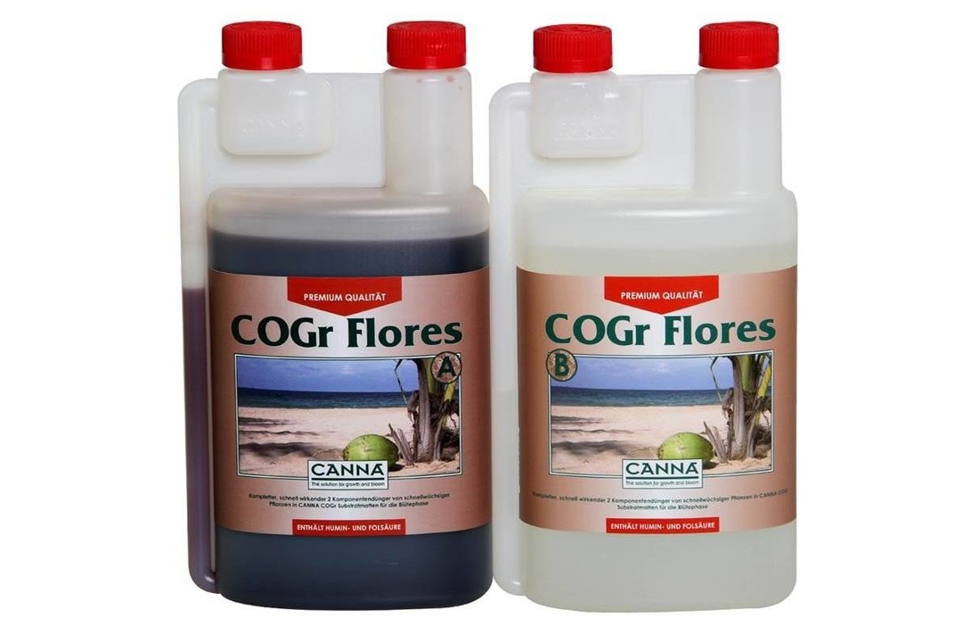 CoGr Flores A+B