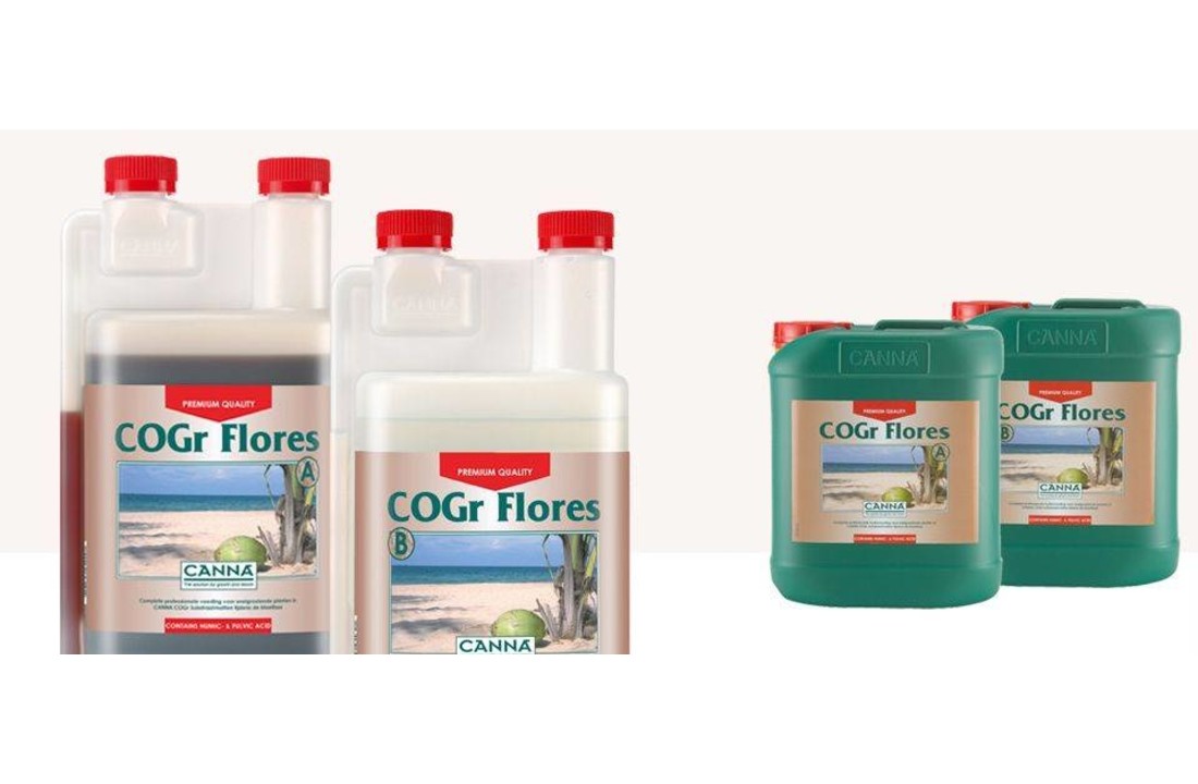 CoGr Flores A+B