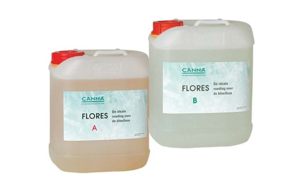 Flores A&B