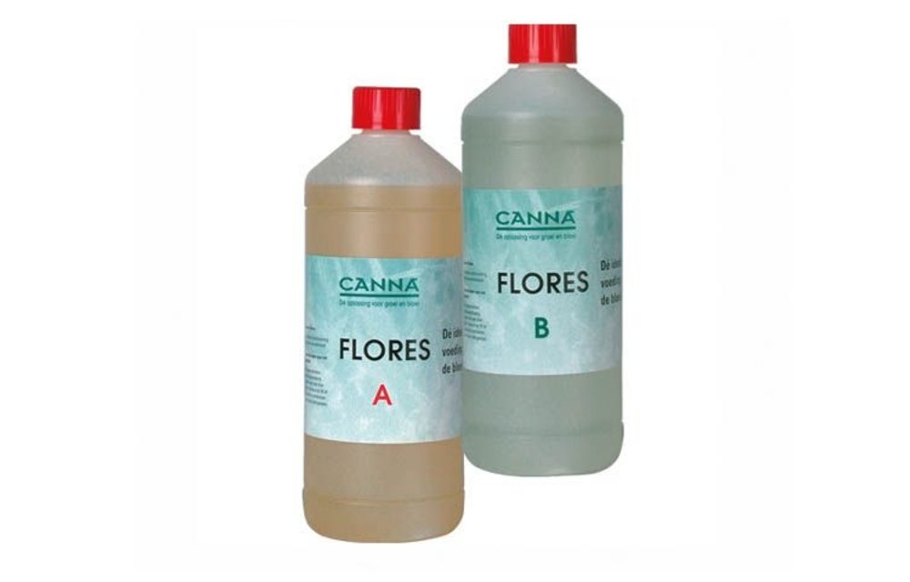 Flores A&B