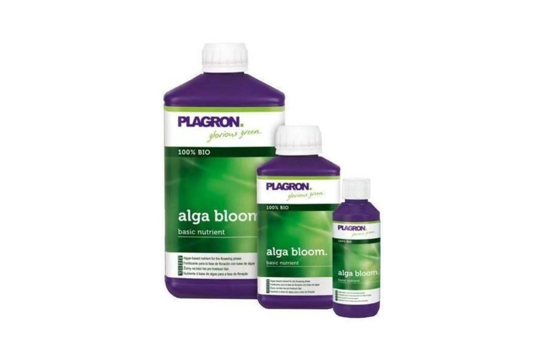 Alga Bloom
