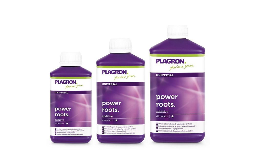 Power Roots