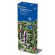 Kiepenkerl Kiepenkerl Bauerngarten-Mischung 140 g Kiepenkerl Kiepenkerl Bauerngarten-Mischung 140 g
