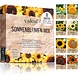 valeaf valeaf Sunflower Seed Set I 8 Varieties valeaf valeaf Sunflower Seed Set I 8 Varieties