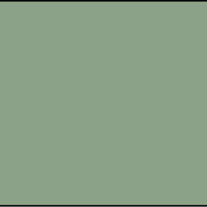 BIO-T
