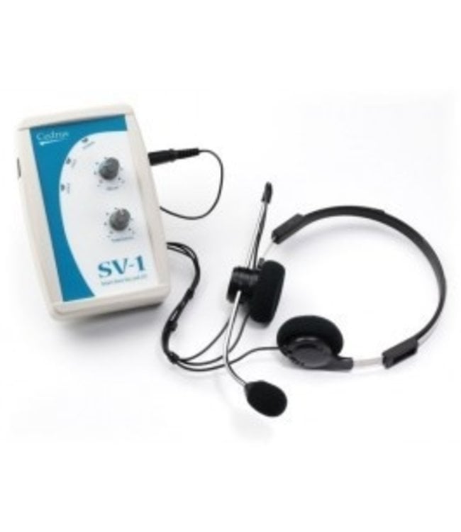 SV-1 Voice Key