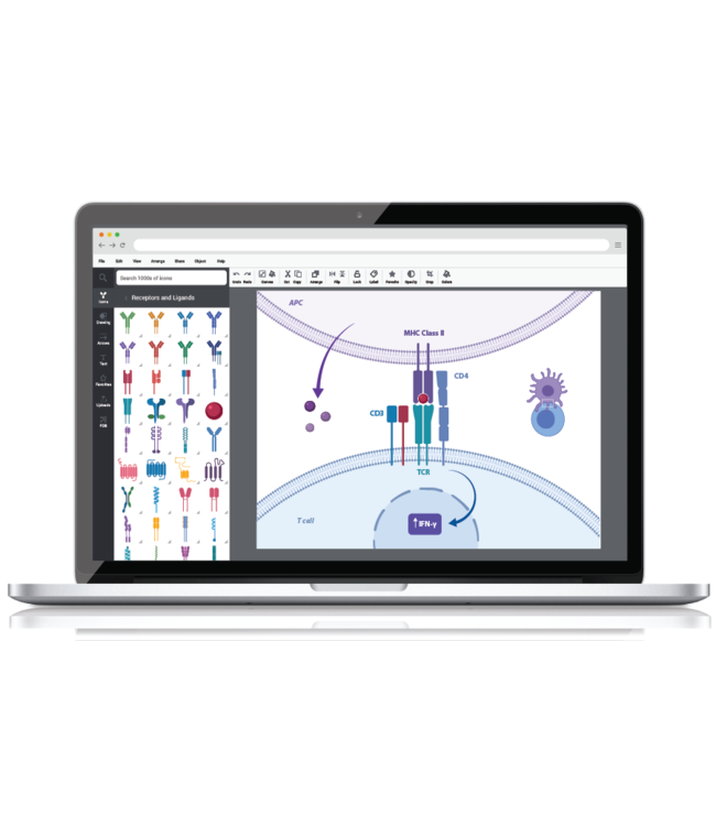 BioRender (Prijs op aanvraag)