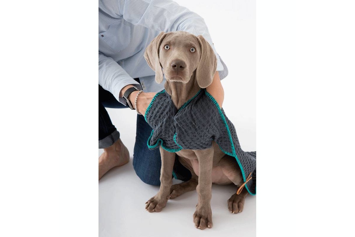 2.8 Design für Hunde Sally Hundehandtücher Grau