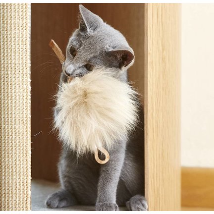Luxe kattenspullen
