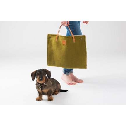 Reizen met honden
