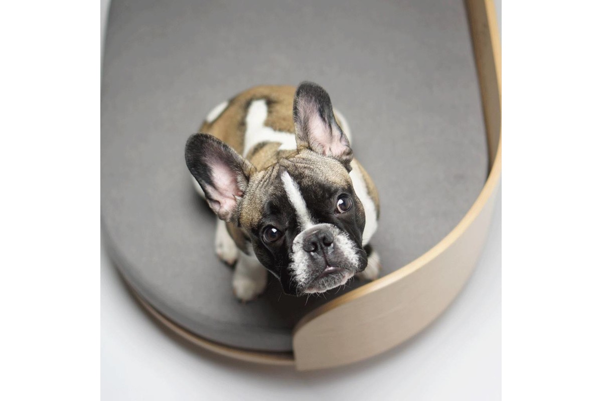 Labbvenn Loue Dog Sofa