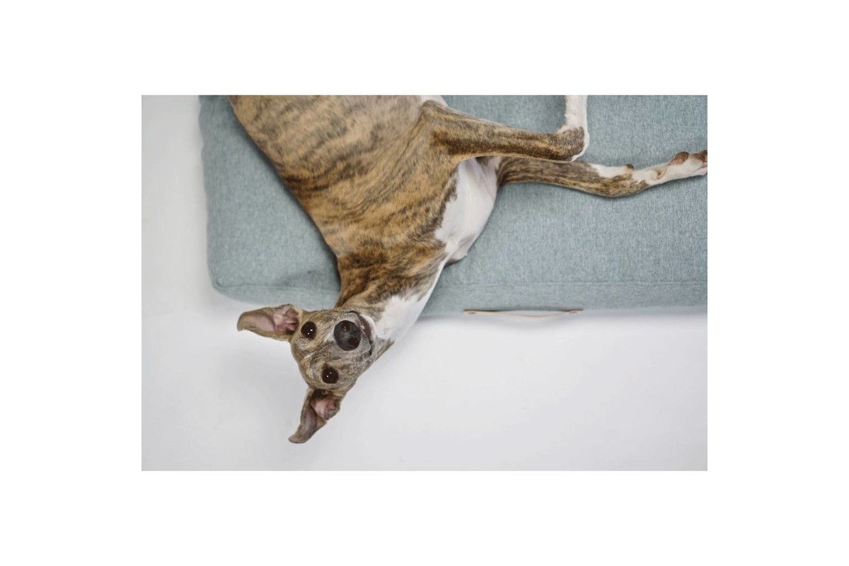 Labbvenn Oslo Dog Cushion Grey