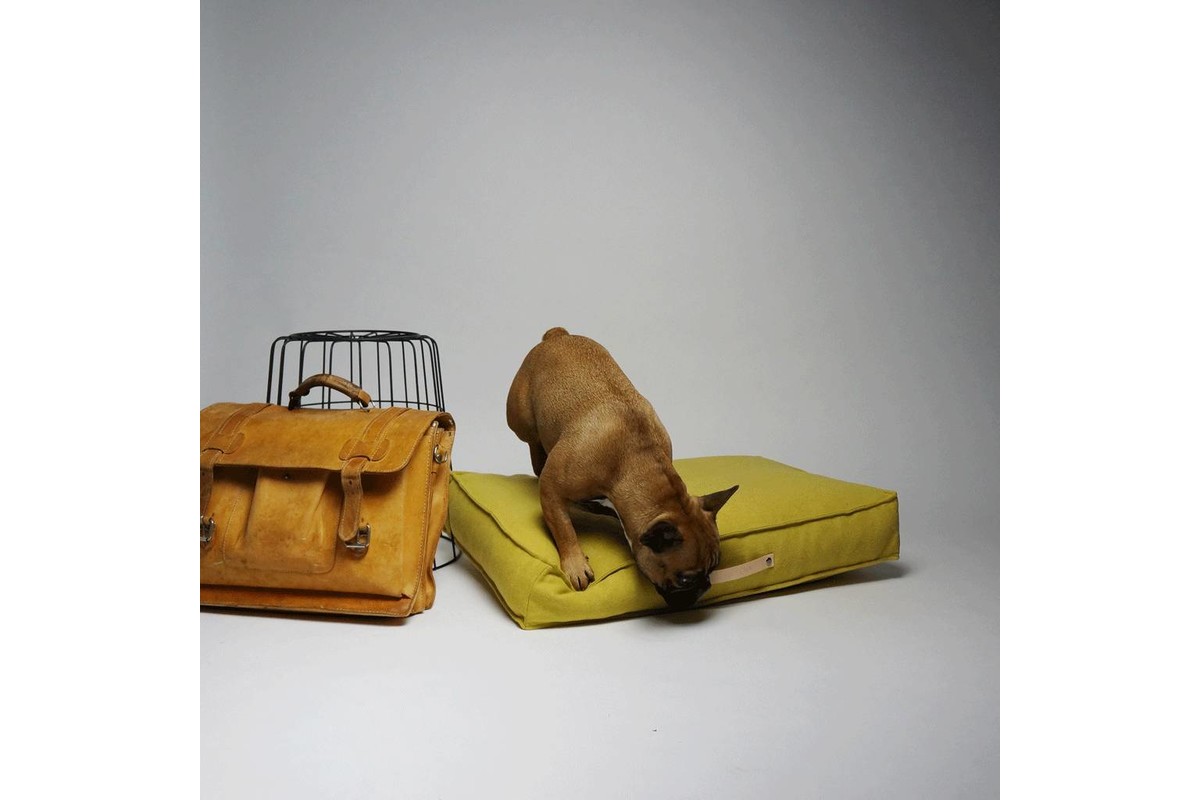 Labbvenn Movik Dog Cushion Biscuit