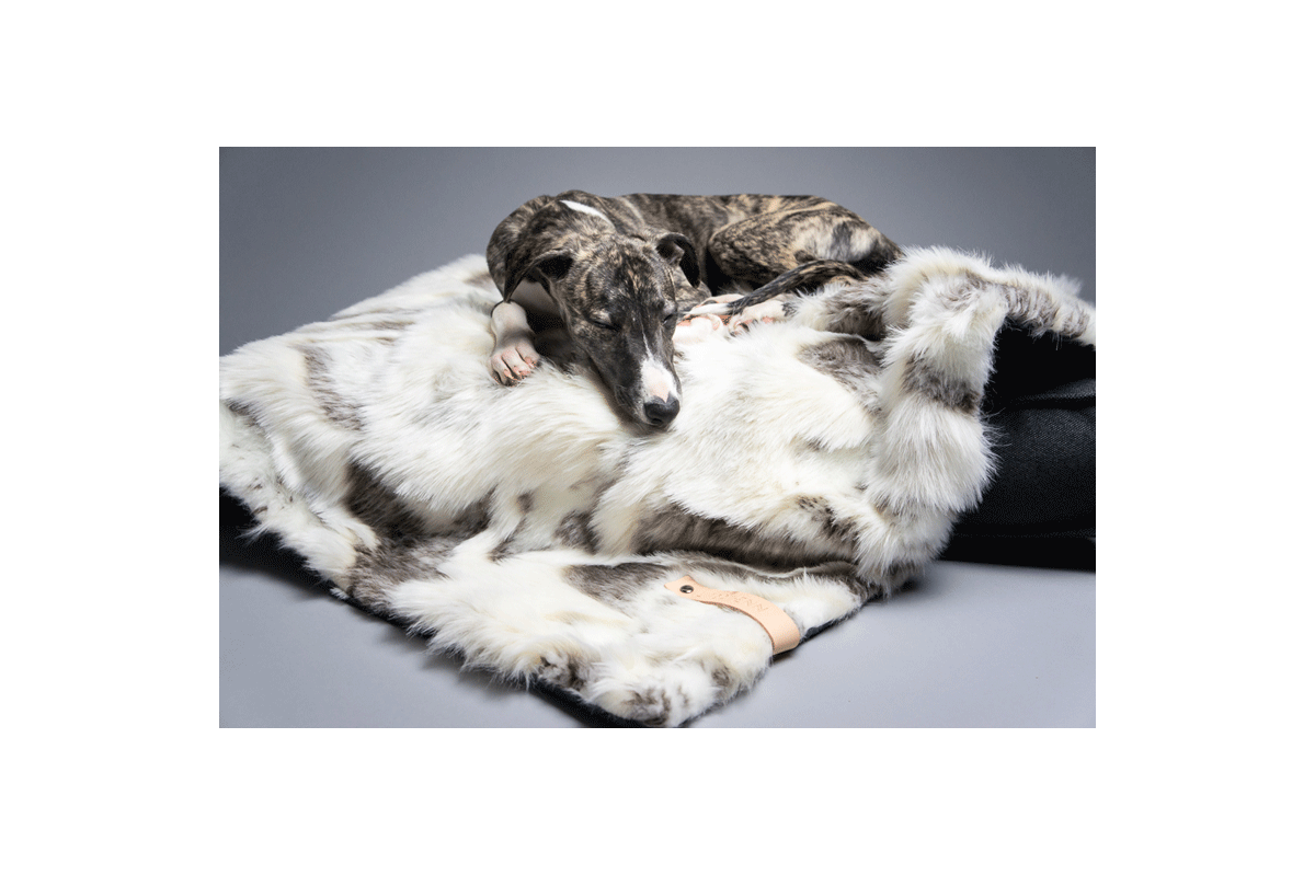 Labbvenn Tösse Dog Blanket White / Brown