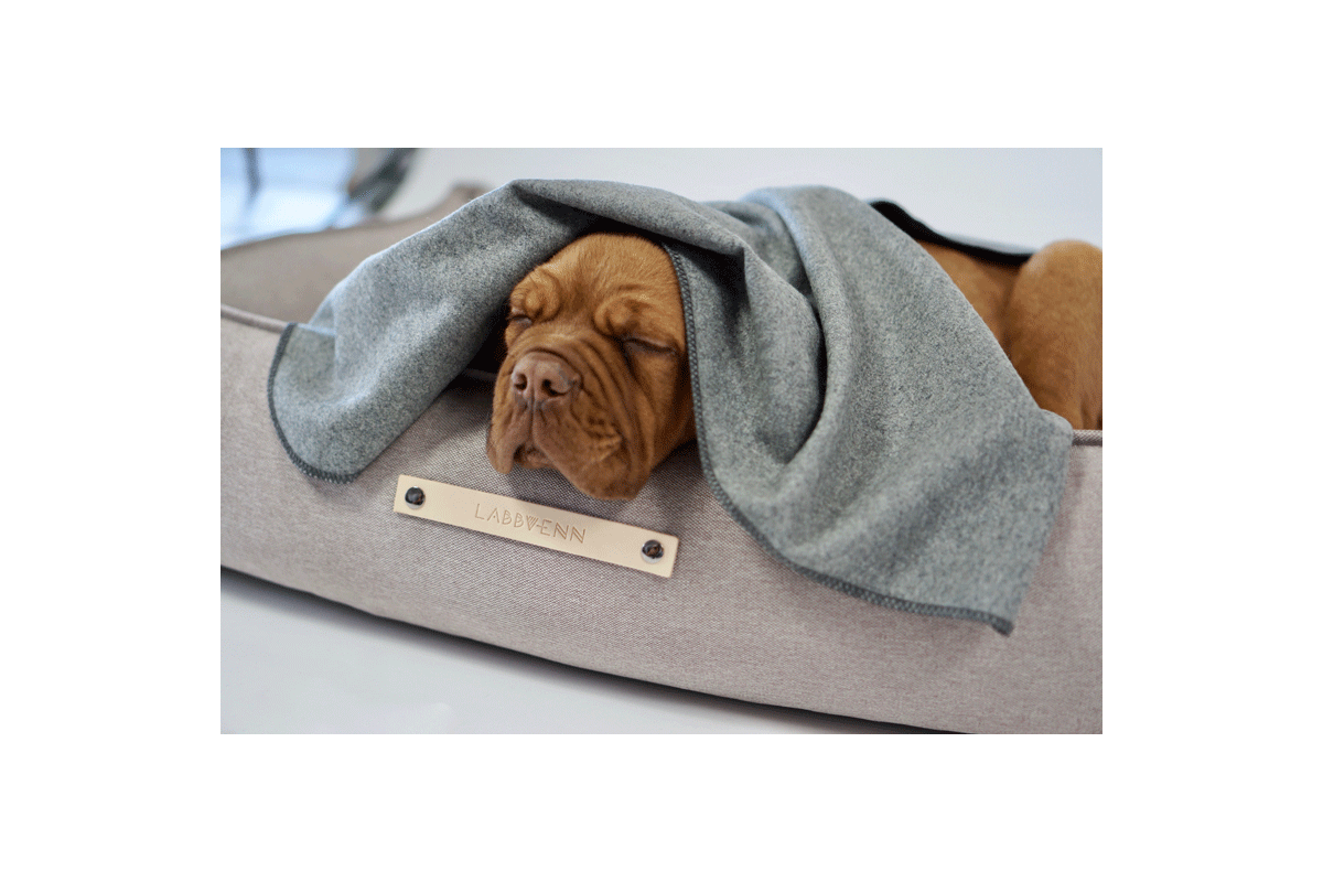 Labbvenn Åsnen Dog Blanket Brown