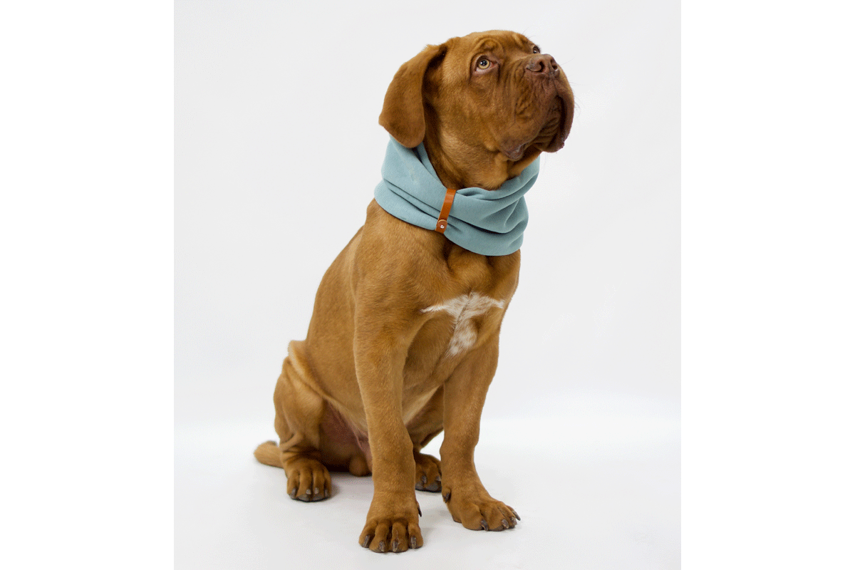 Labbvenn Neck Warmer Inko Turquoise