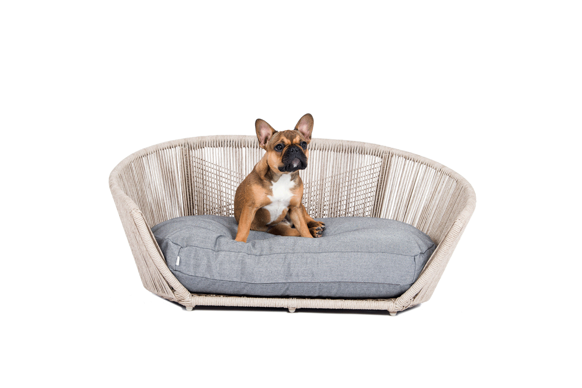 outdoor dog furniture