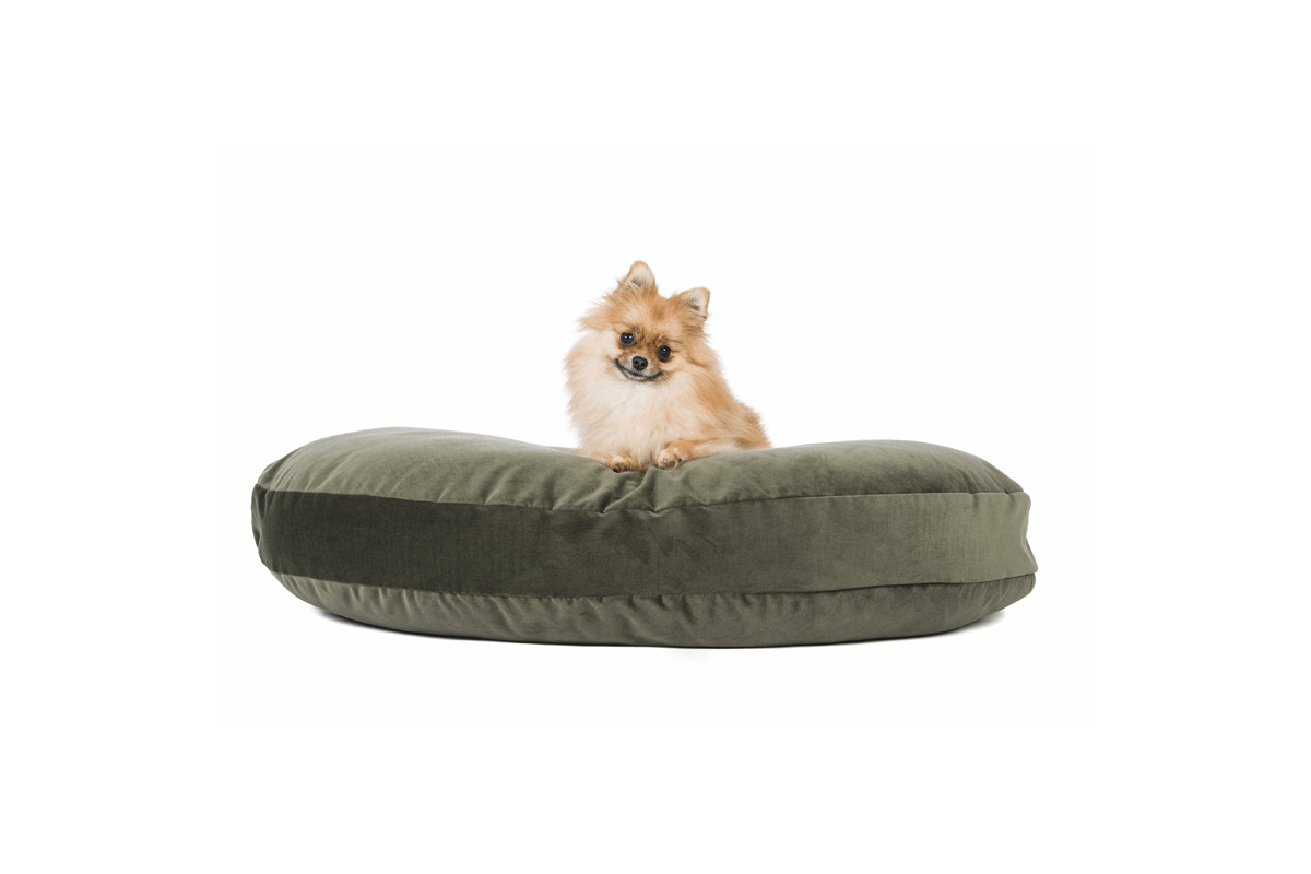 Laboni Design Dog Cushion Luna Velvet Olive