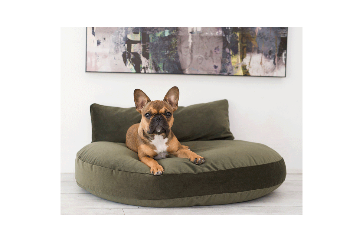 Laboni Design Dog Cushion Luna Velvet Olive