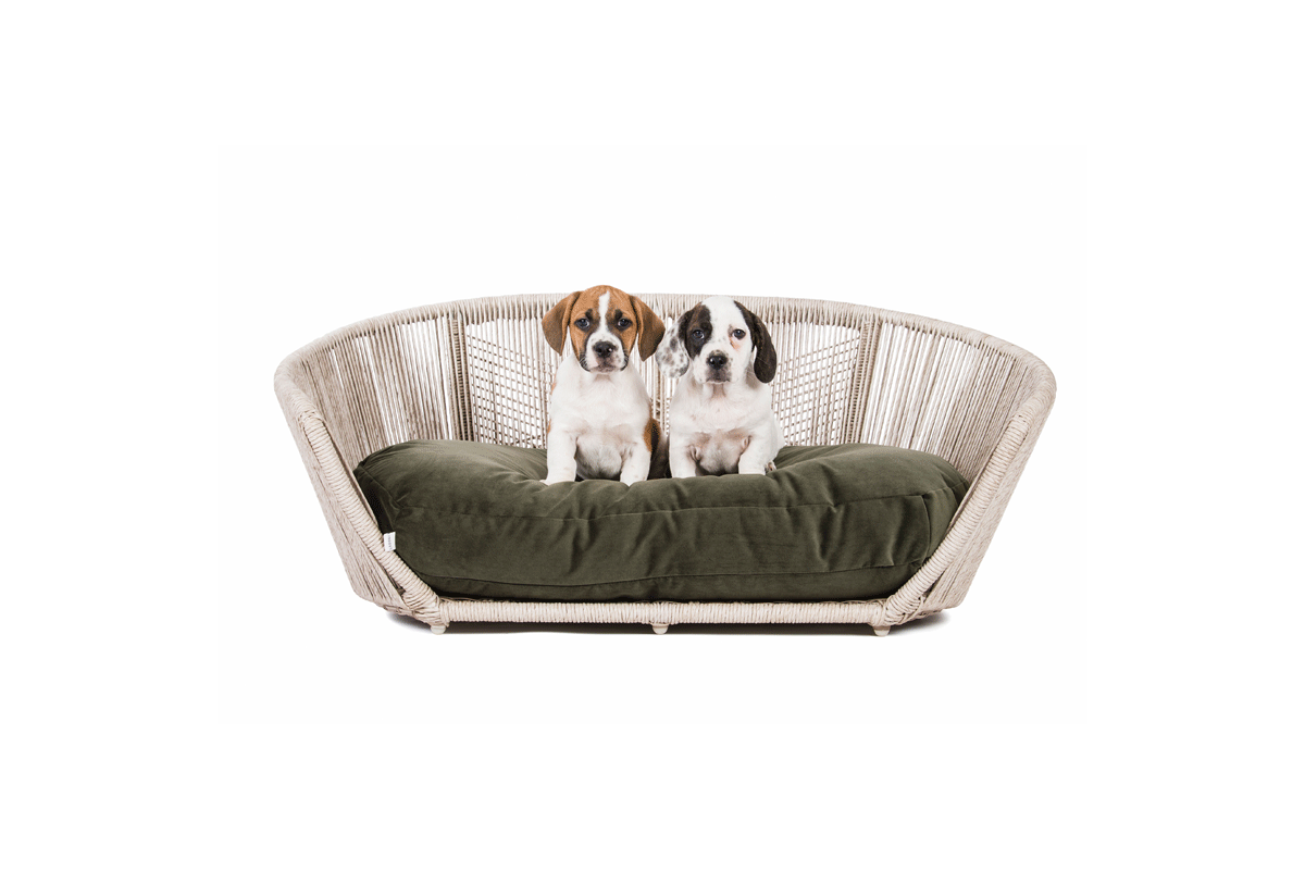 Laboni Design Luna Hundekissen Samt Olive