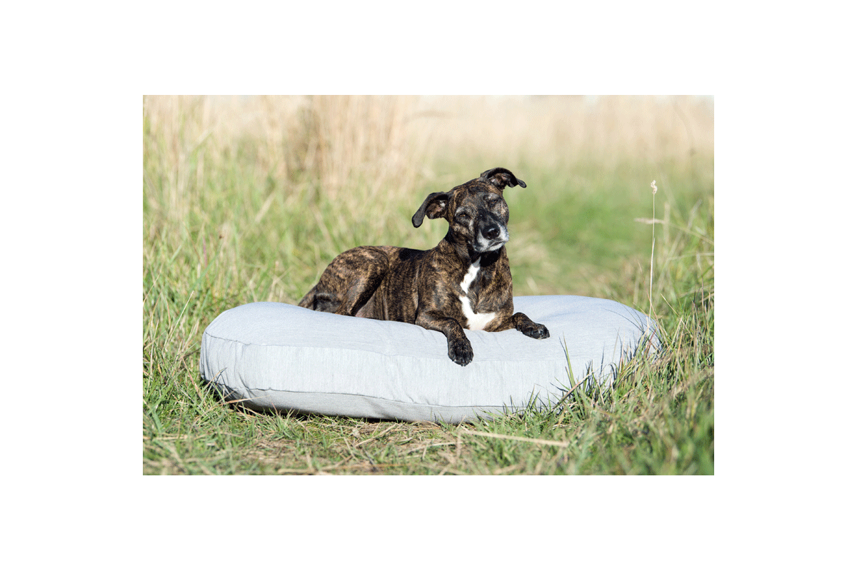 Laboni Design Hundebett Prado Grigio