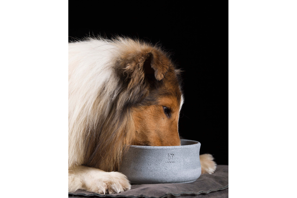 Laboni Design Food Bowl Rocky