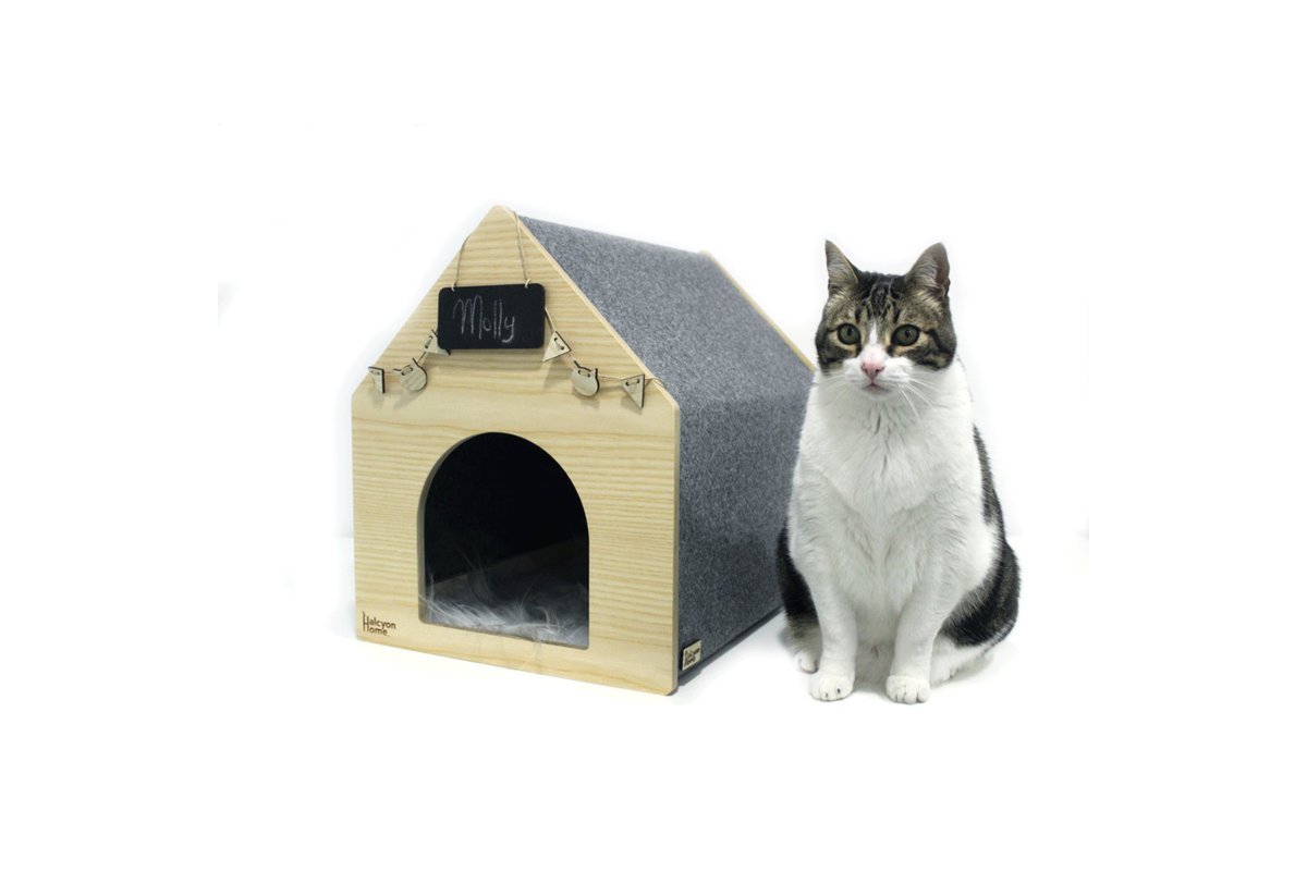 Knorrig fort Cerebrum Luxe kattenhuis kopen | Design kattenhuizen The Pet Empire - The Pet Empire