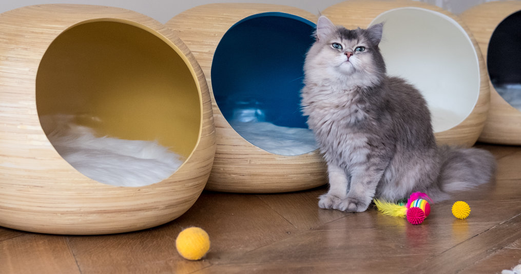 Prachtige kattenmeubels!