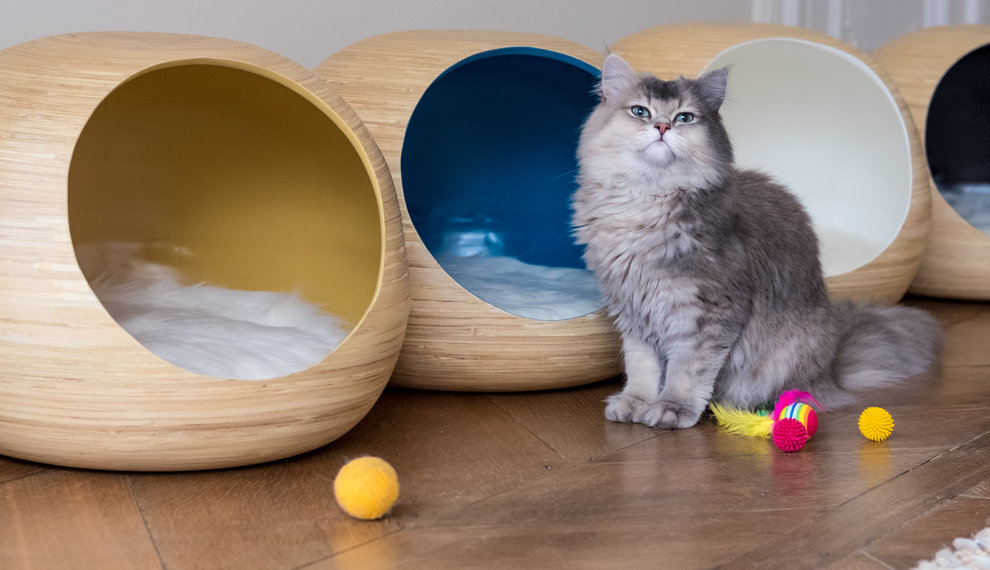 Lassen sie Ihre Katze ultimativ genießen in einem luxuriösen Katzenkorb