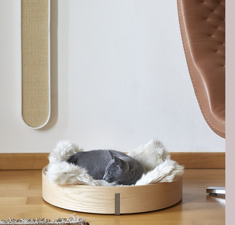 Welcher Kratzbaum ist der Beste für Ihre Katze?