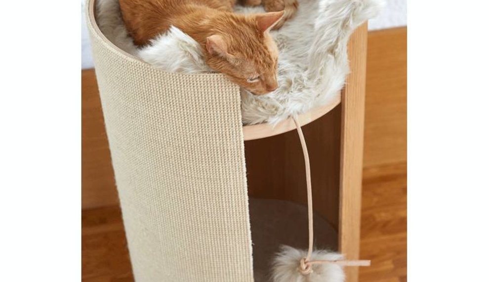 Was sind die Kriterien für ein gutes Spielzeug für Ihre Katze?